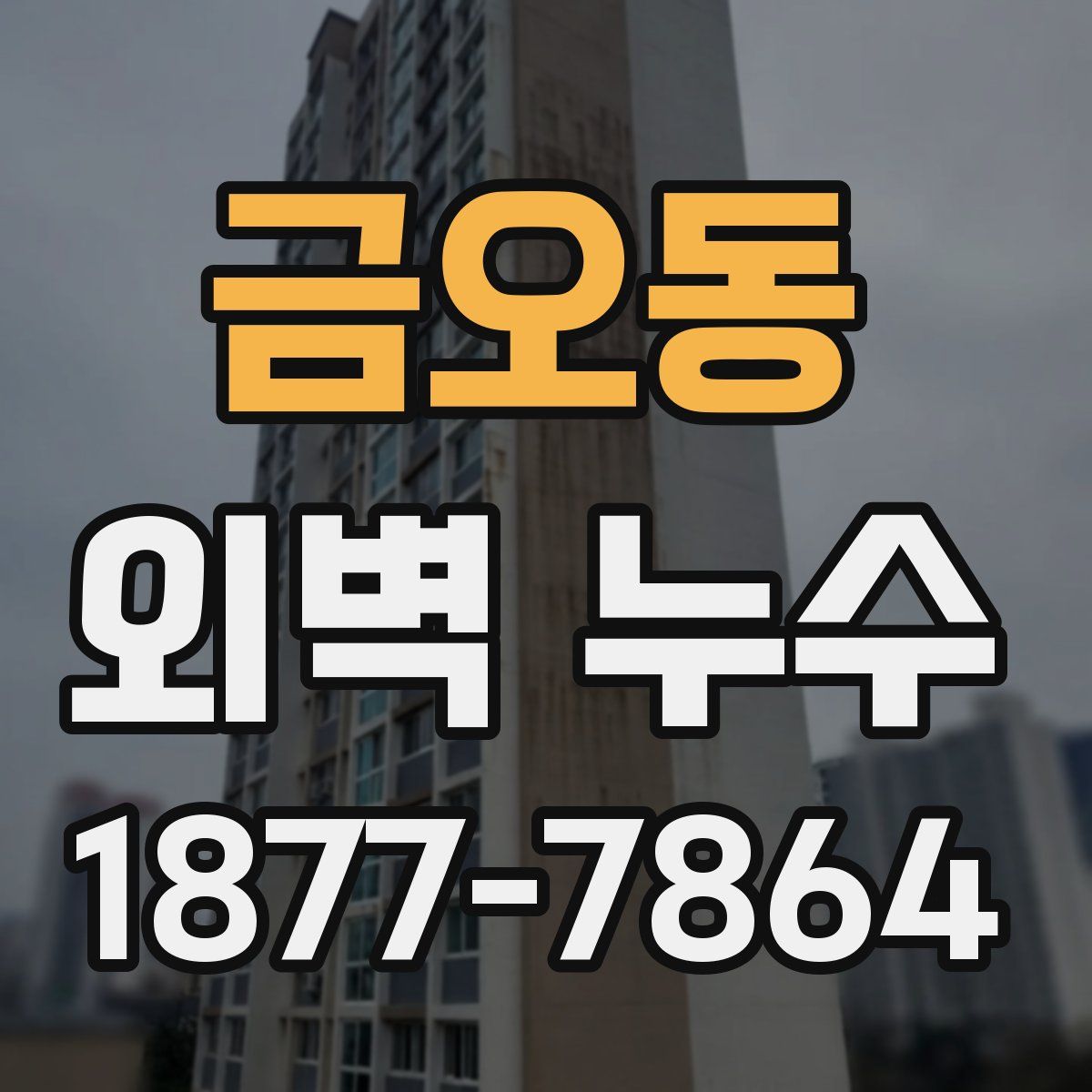 금오동 외벽 누수