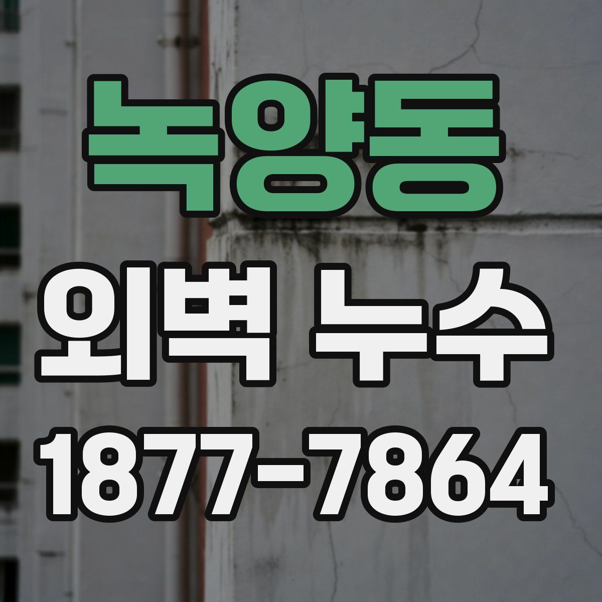 녹양동 외벽 누수