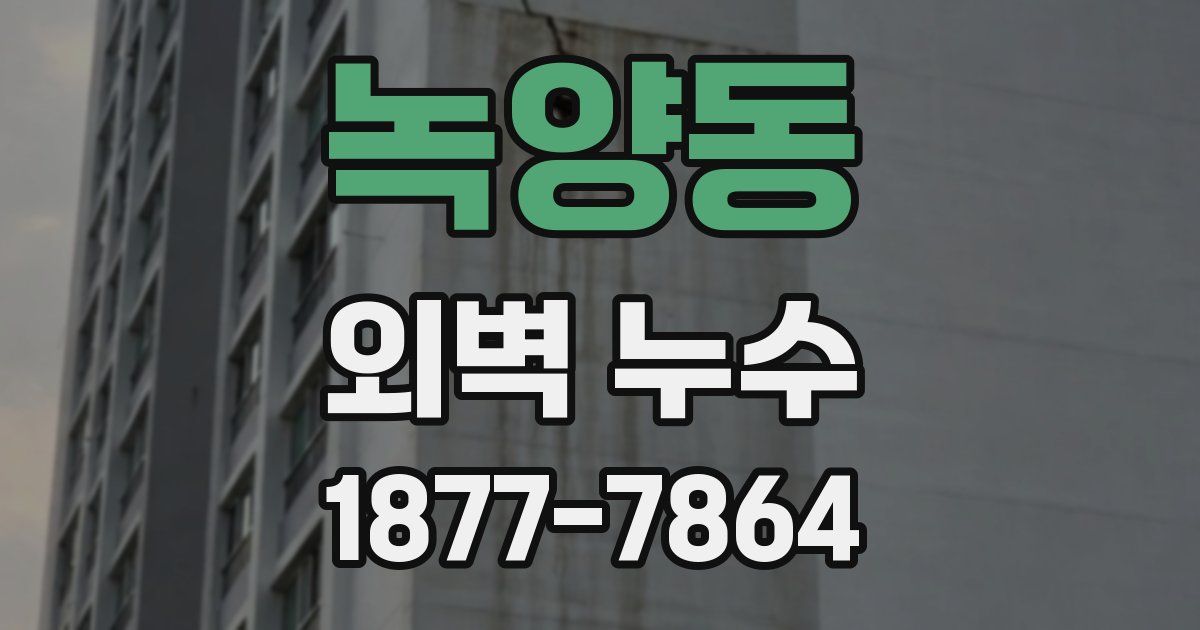 녹양동 외벽 누수