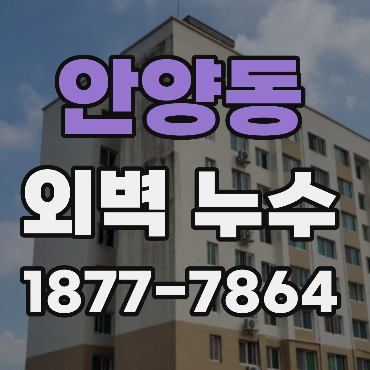 안양동 외벽 누수