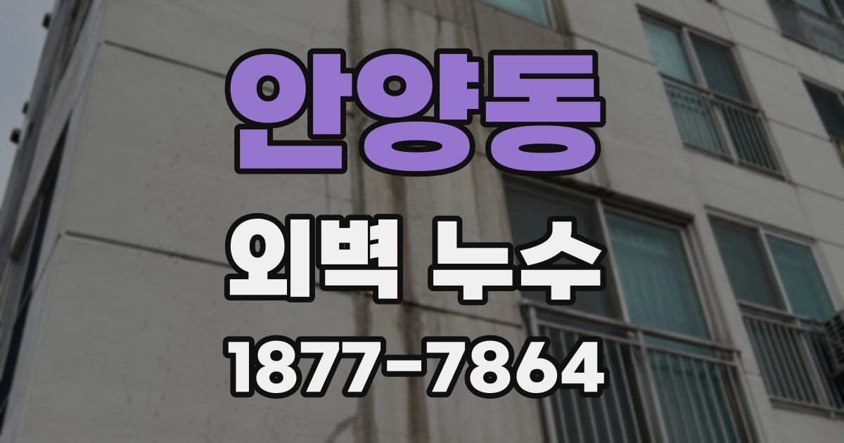 안양동 외벽 누수
