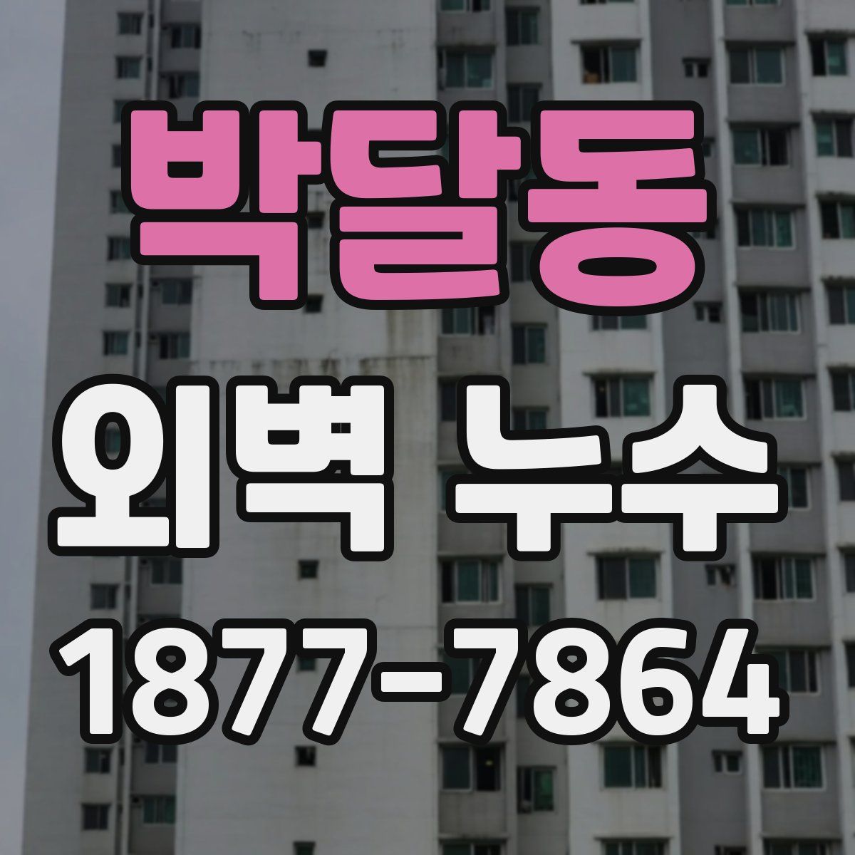 박달동 외벽 누수
