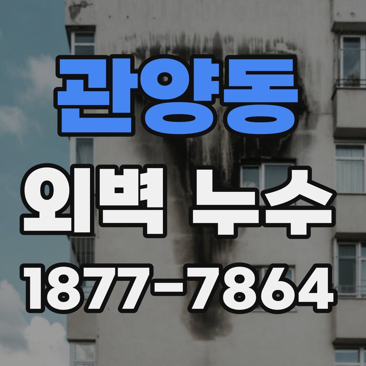 관양동 외벽 누수