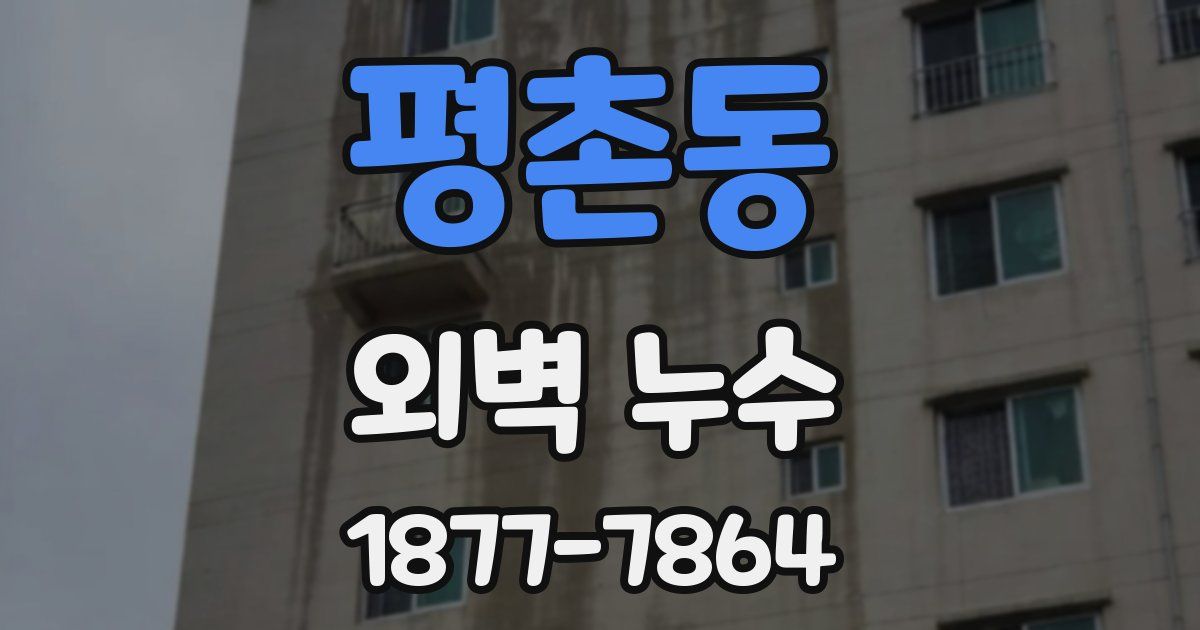 평촌동 외벽 누수