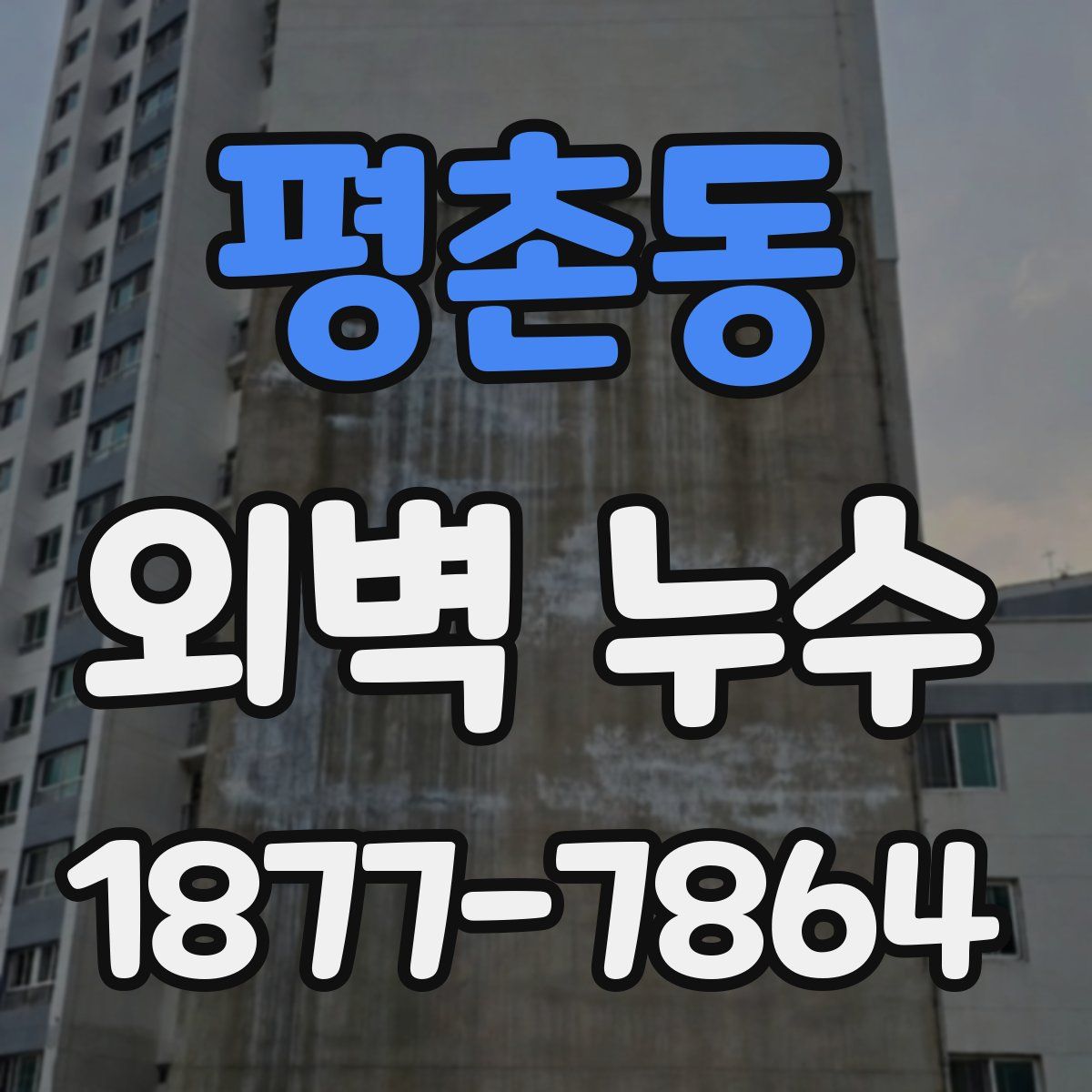 평촌동 외벽 누수
