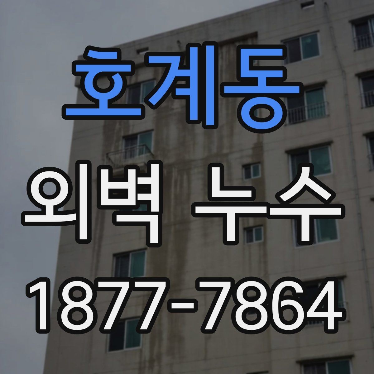 호계동 외벽 누수 상태를 오래 방치하면 안 되는 이유