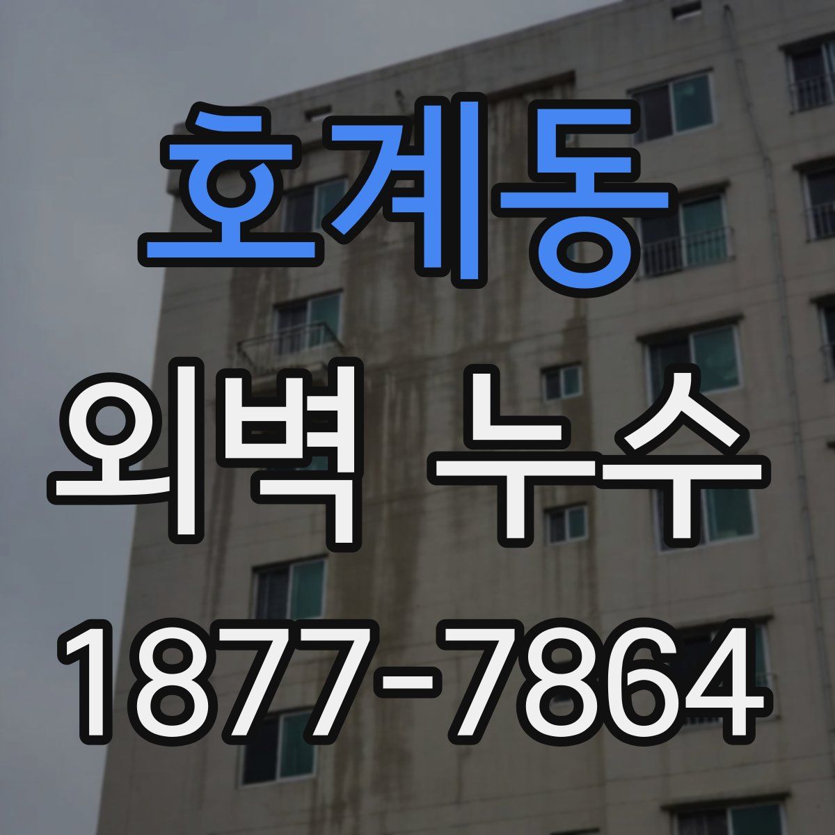 호계동 외벽 누수