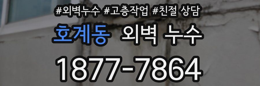 호계동 외벽 누수