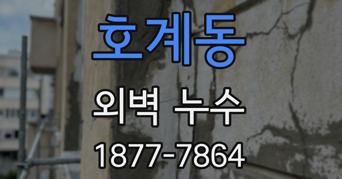 호계동 외벽 누수