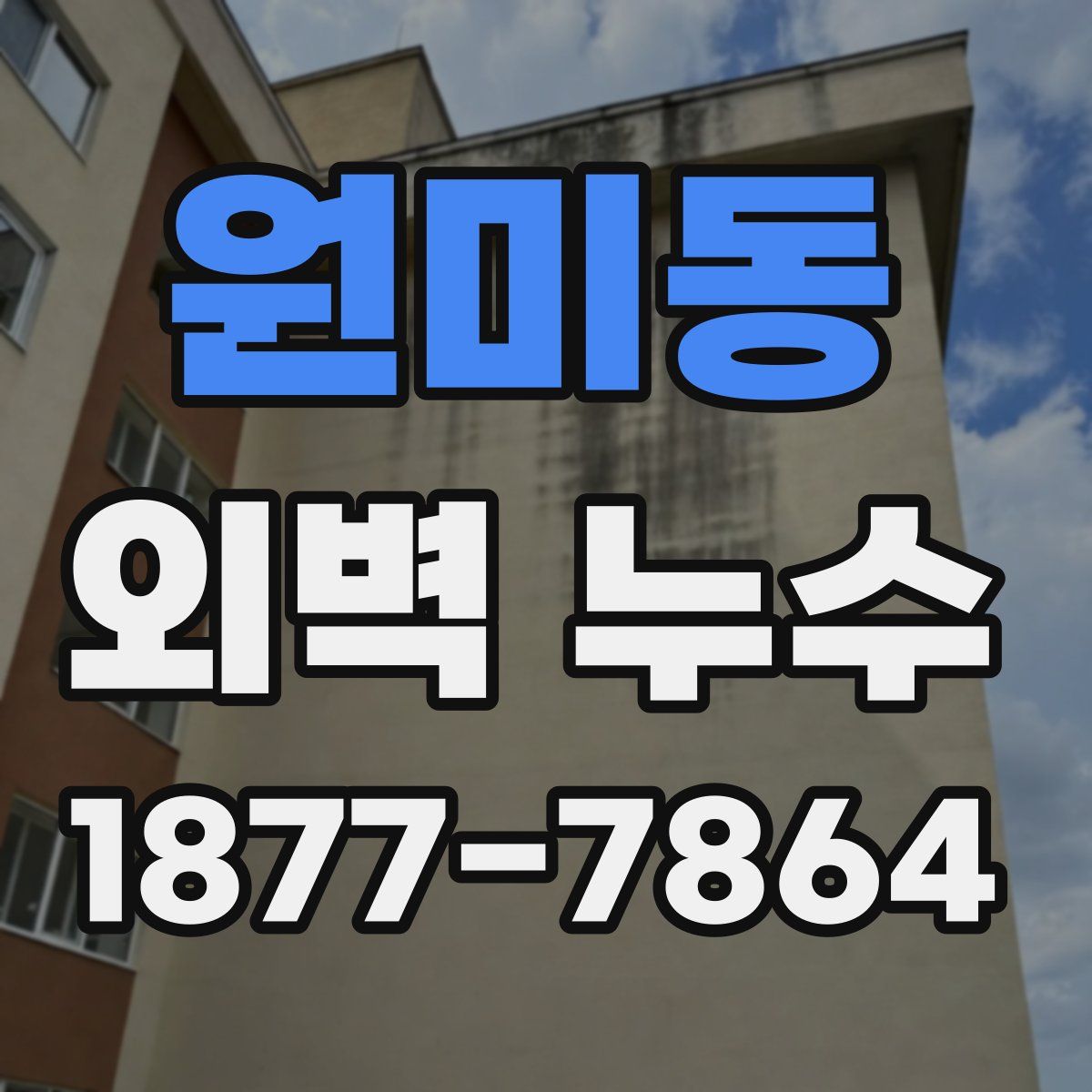 원미동 외벽 누수