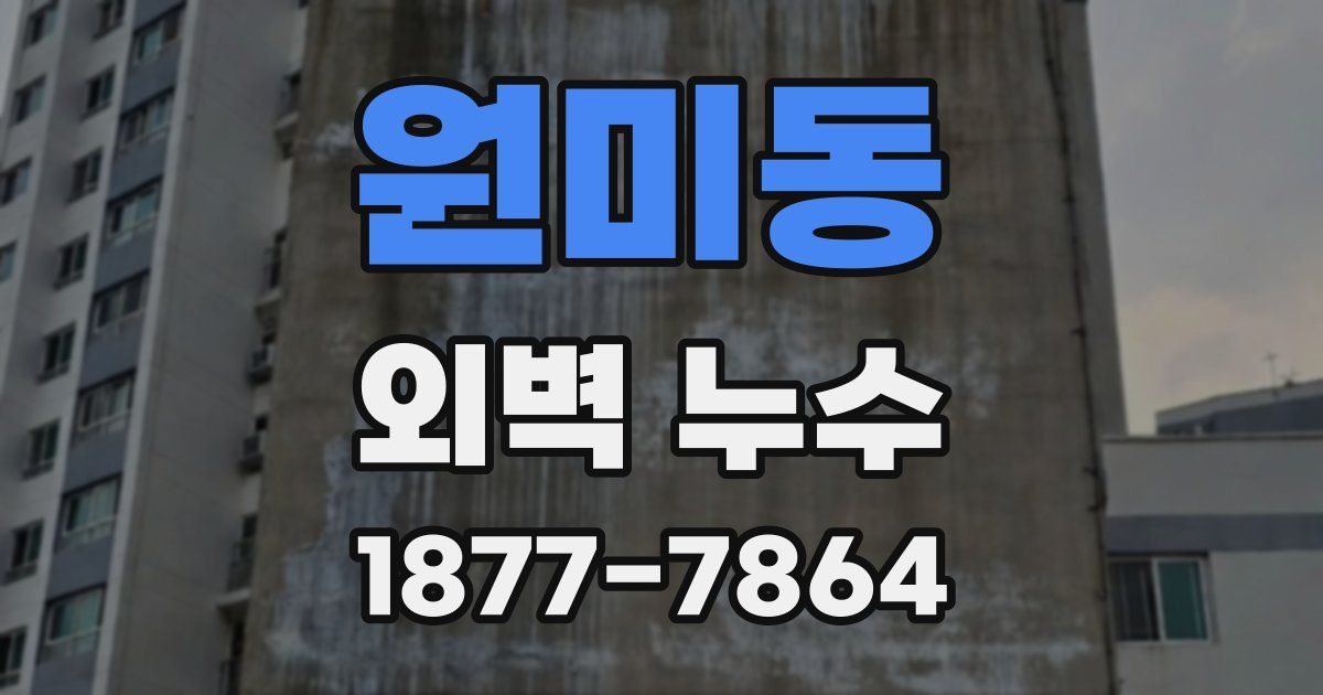 원미동 외벽 누수
