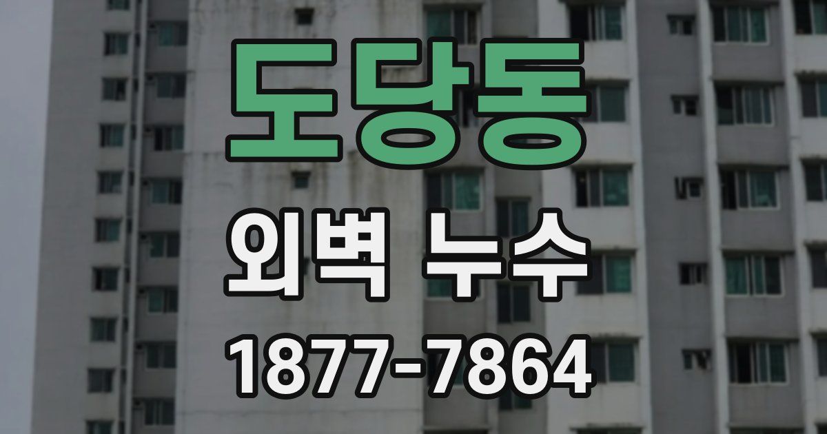 도당동 외벽 누수