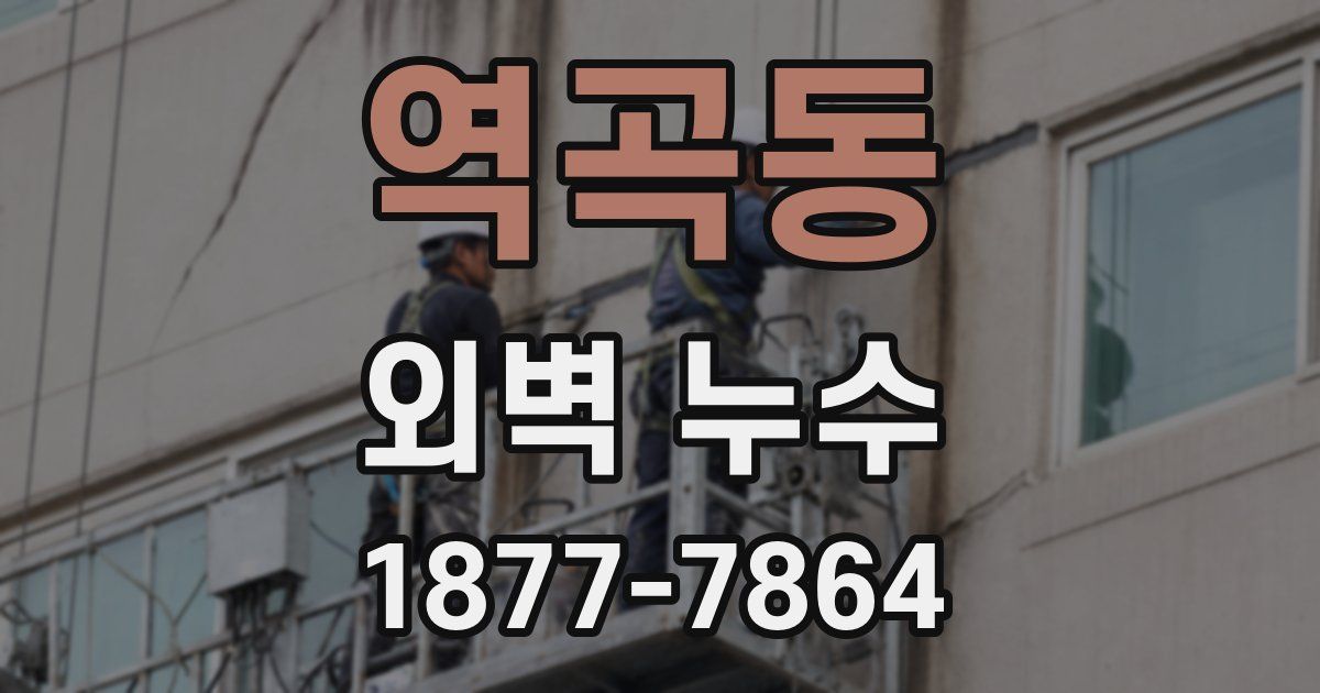 역곡동 외벽 누수
