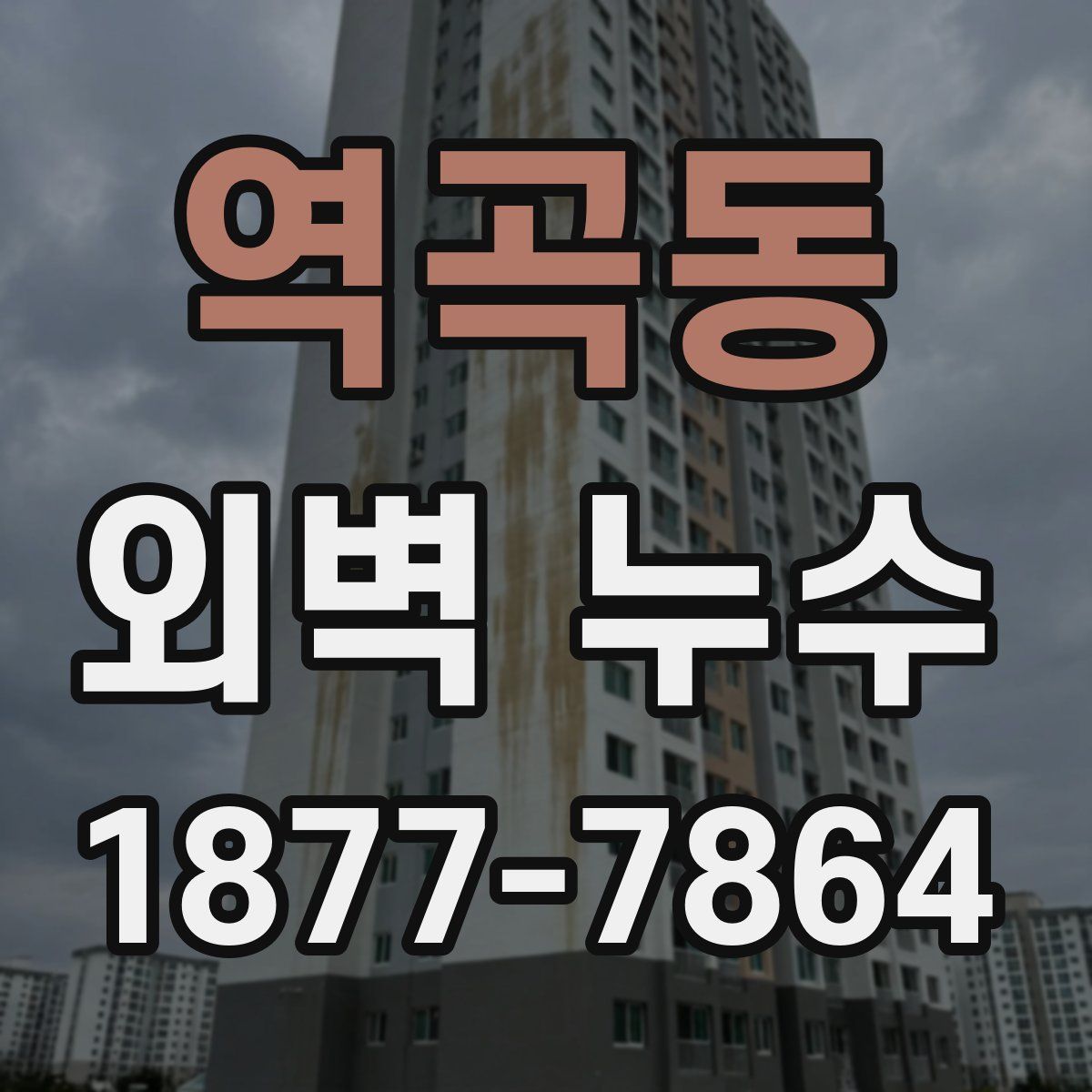 역곡동 외벽 누수