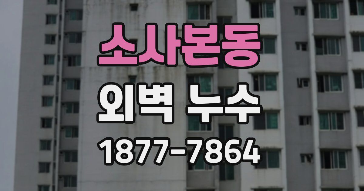 소사본동 외벽 누수