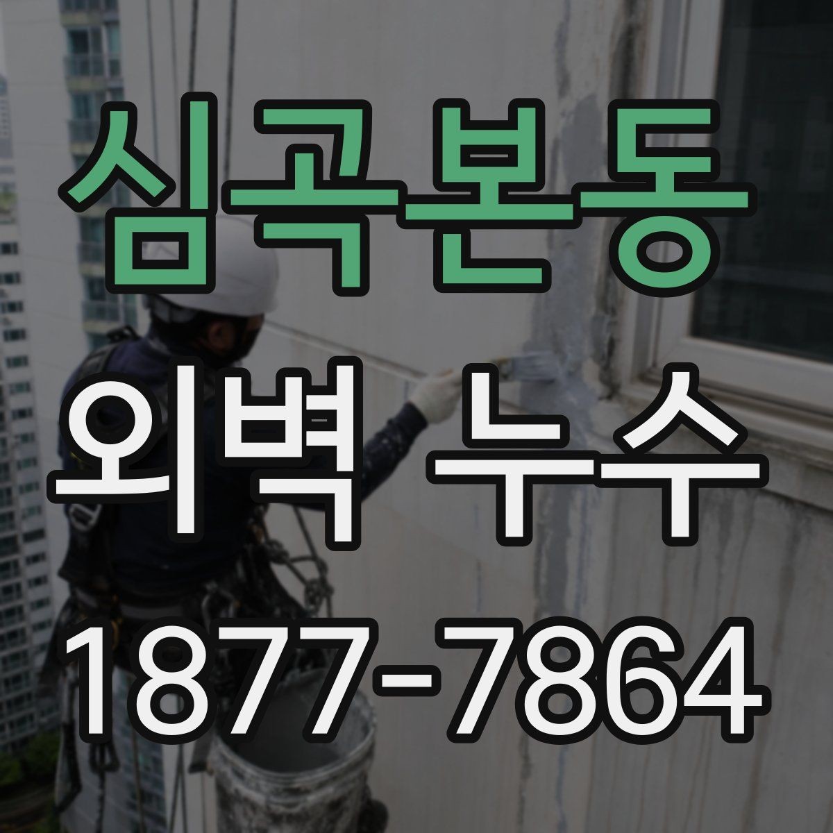 심곡본동 외벽 누수 공사 범위를 정할 때 보는 기준