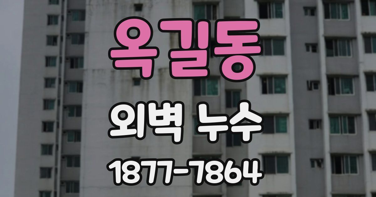 옥길동 외벽 누수
