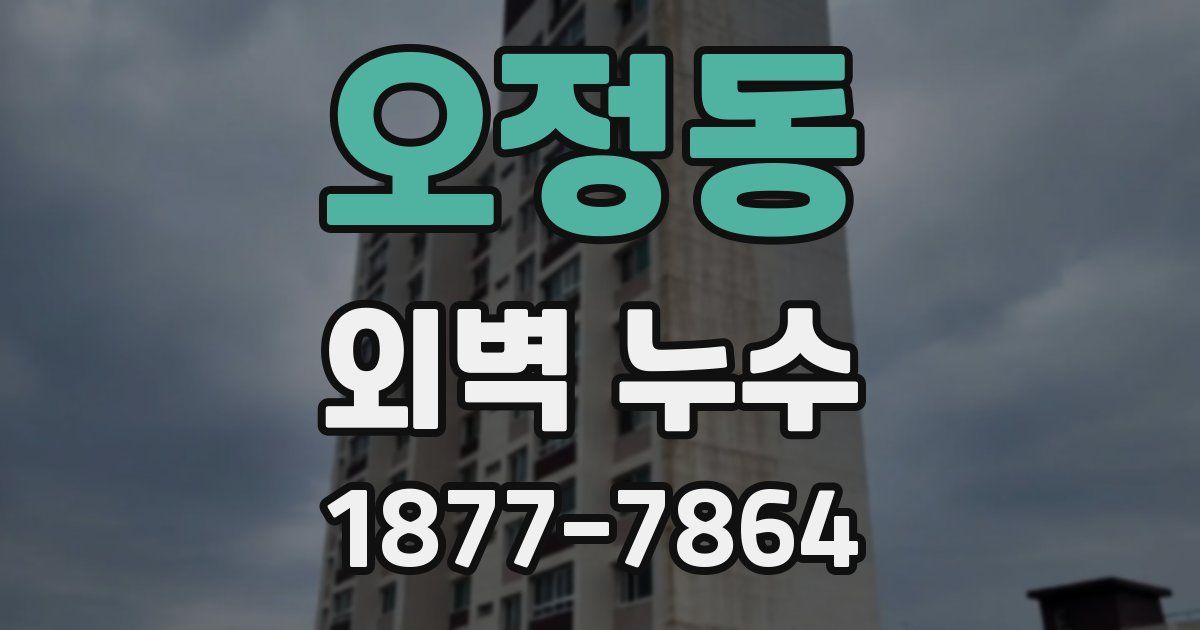 오정동 외벽 누수