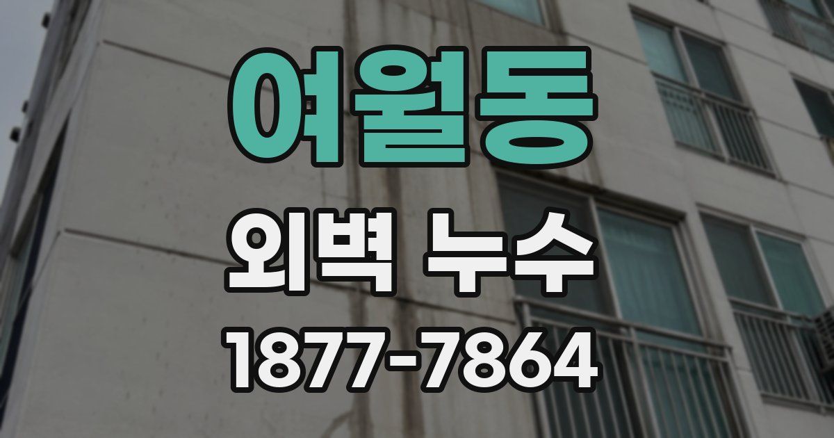 여월동 외벽 누수