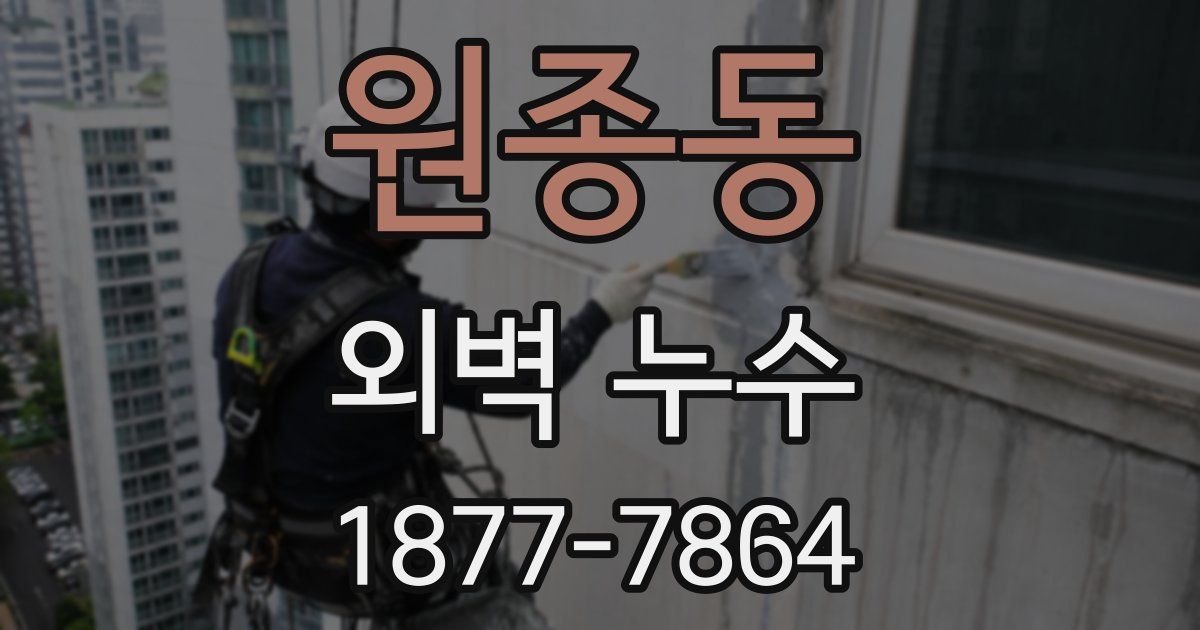 원종동 외벽 누수