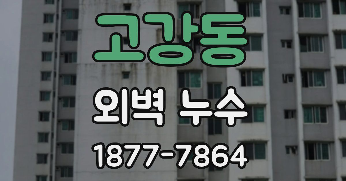 고강동 외벽 누수