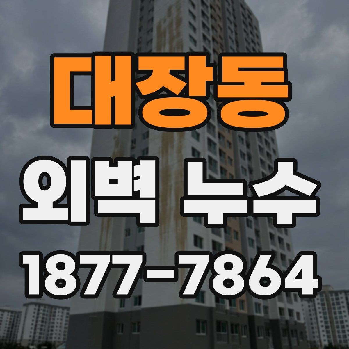 대장동 외벽 누수 검사 시 체크해야 할 부위