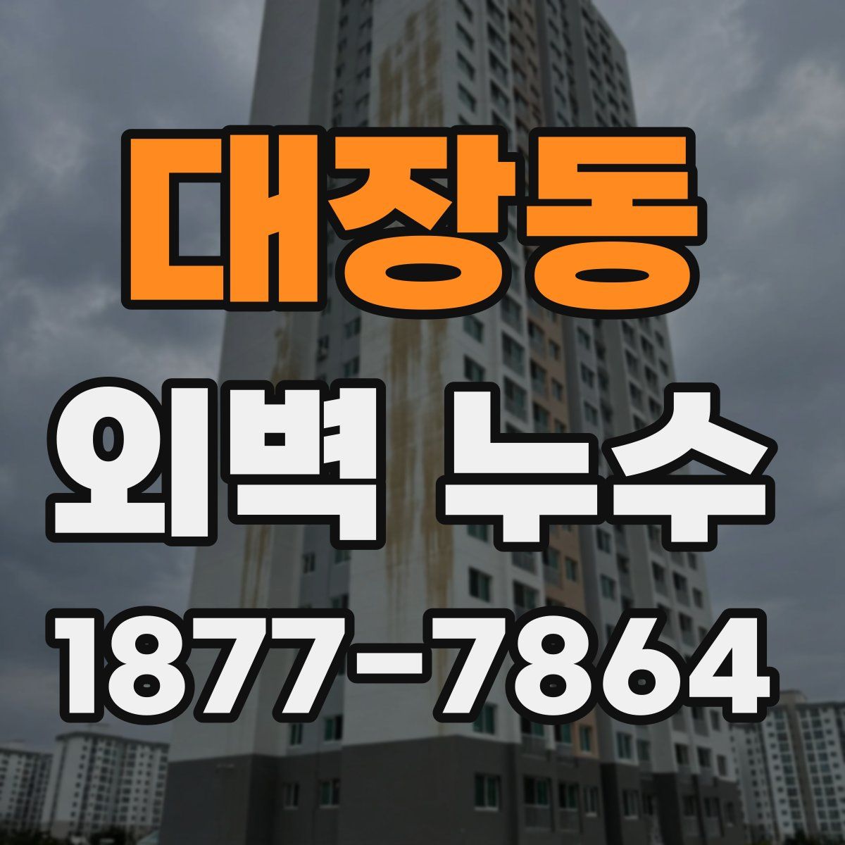 대장동 외벽 누수