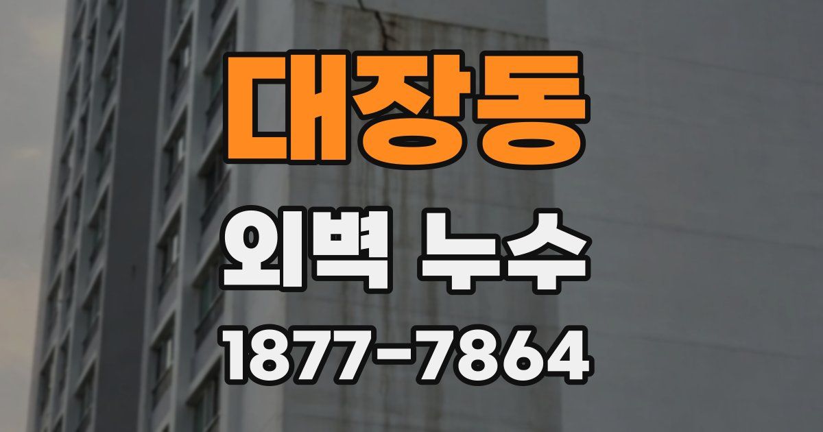 대장동 외벽 누수