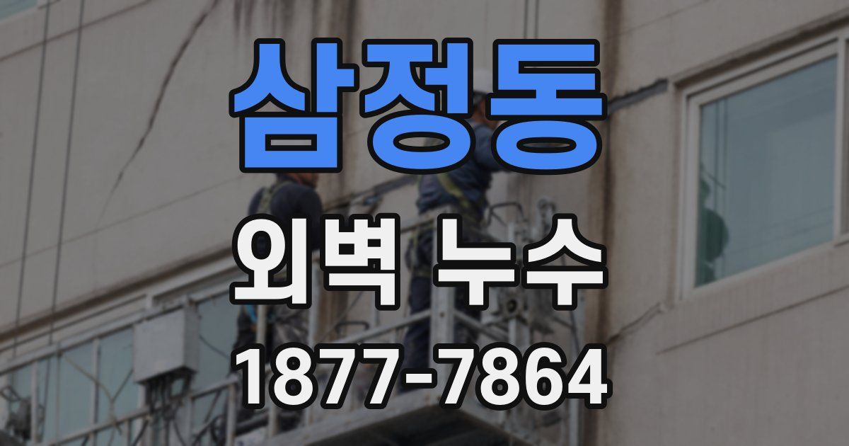 삼정동 외벽 누수