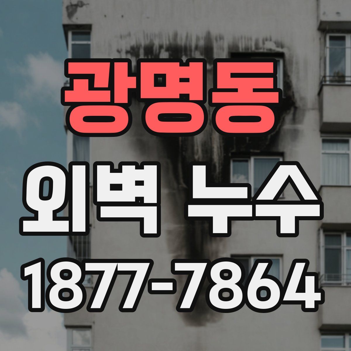 광명동 외벽 누수
