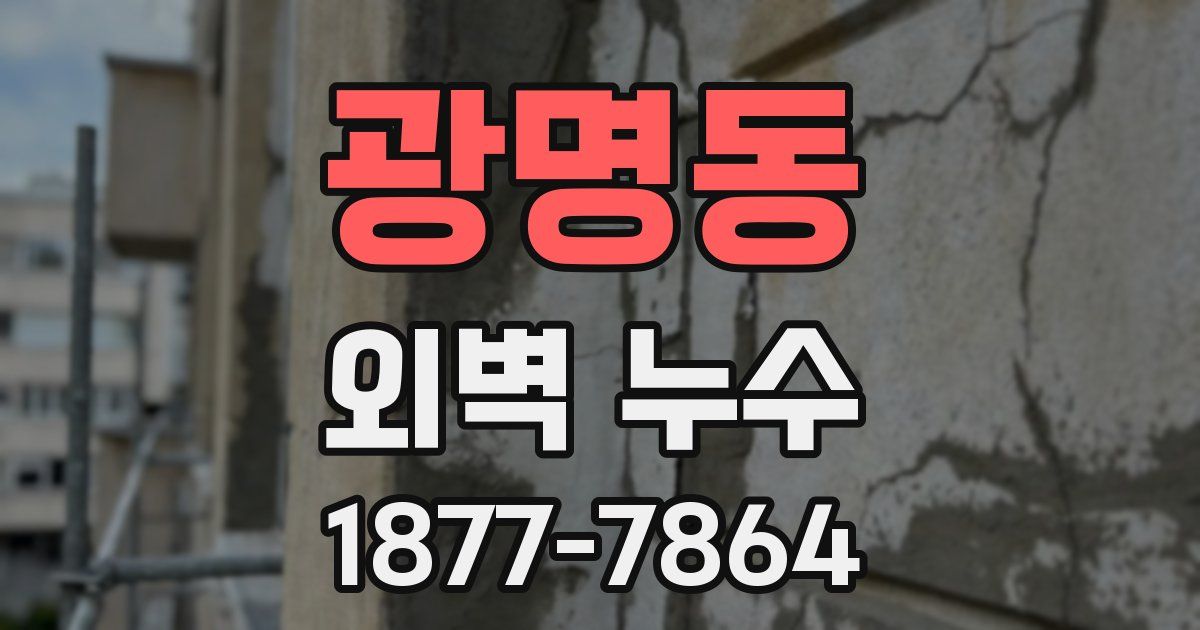 광명동 외벽 누수