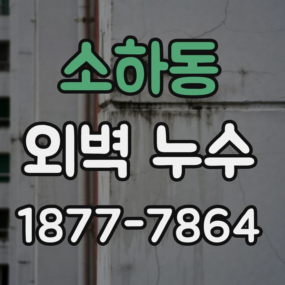 소하동 외벽 누수