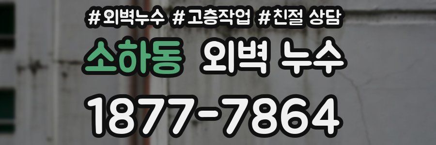 소하동 외벽 누수