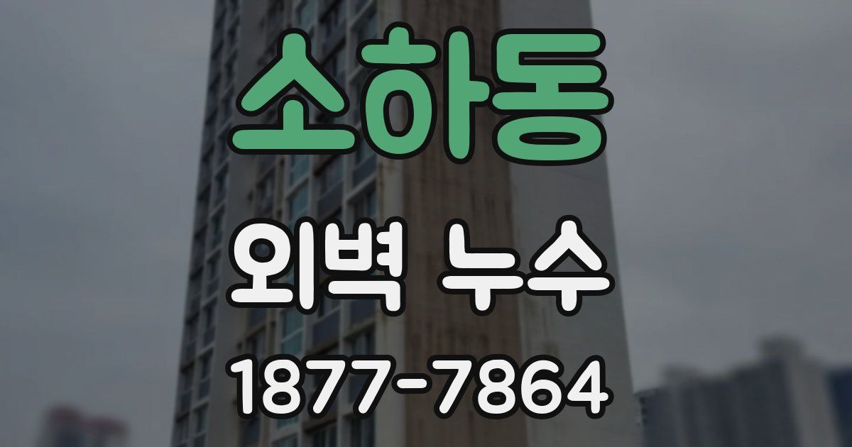 소하동 외벽 누수