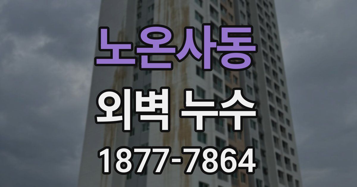 노온사동 외벽 누수