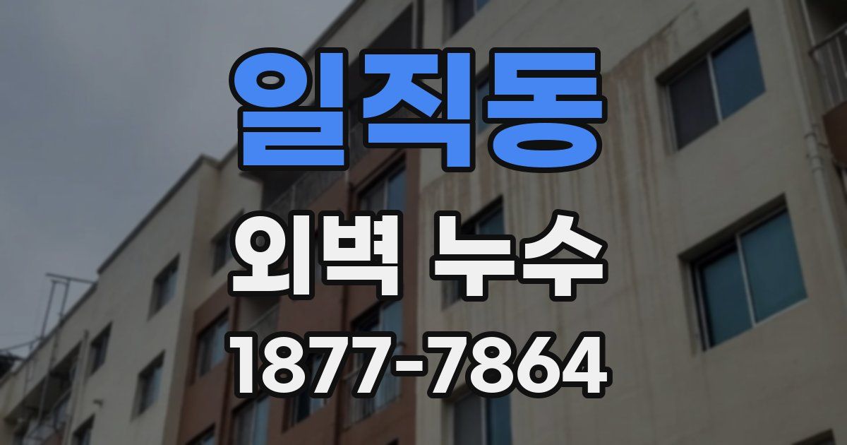 일직동 외벽 누수