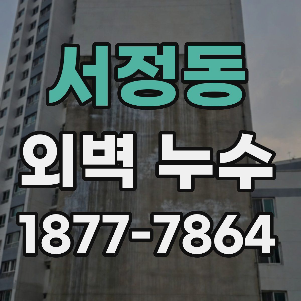 서정동 외벽 누수
