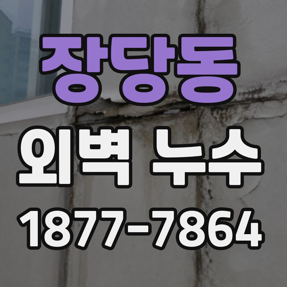 장당동 외벽 누수