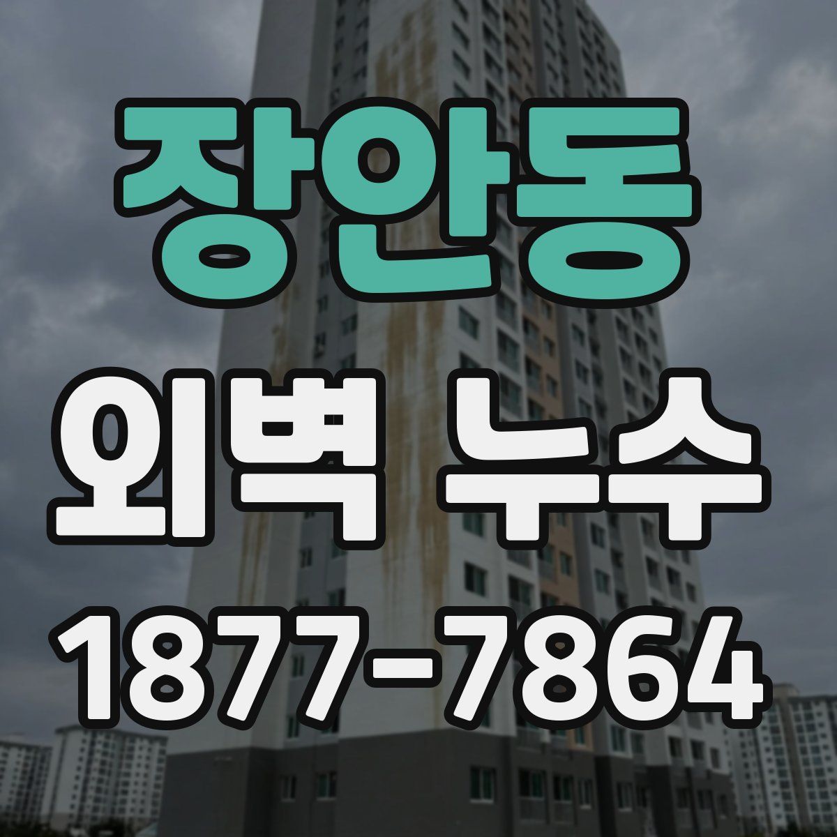 장안동 외벽 누수