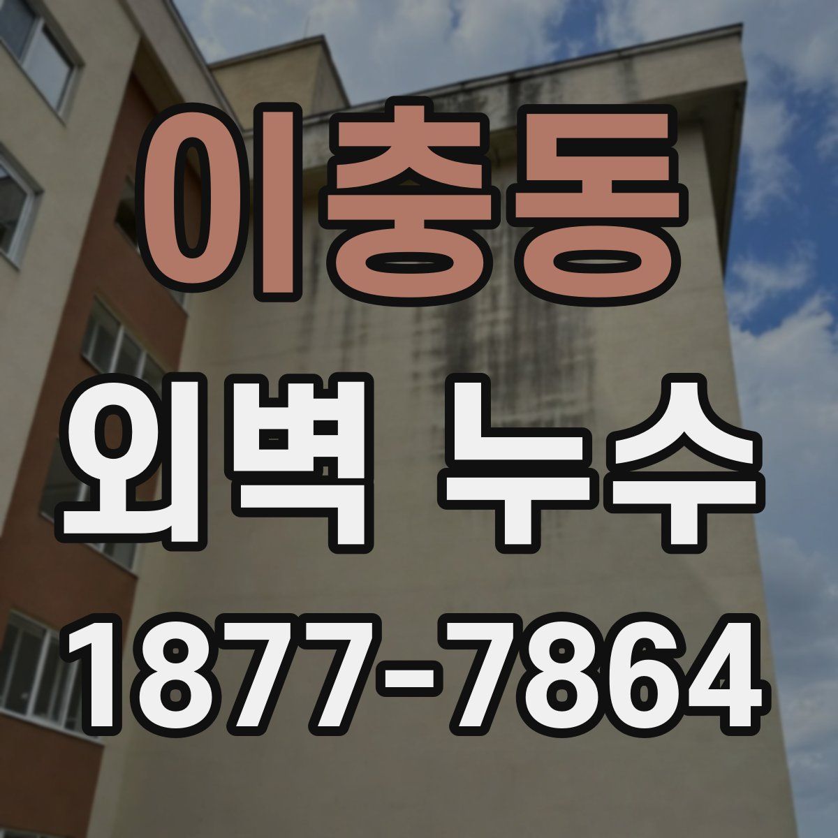 이충동 외벽 누수