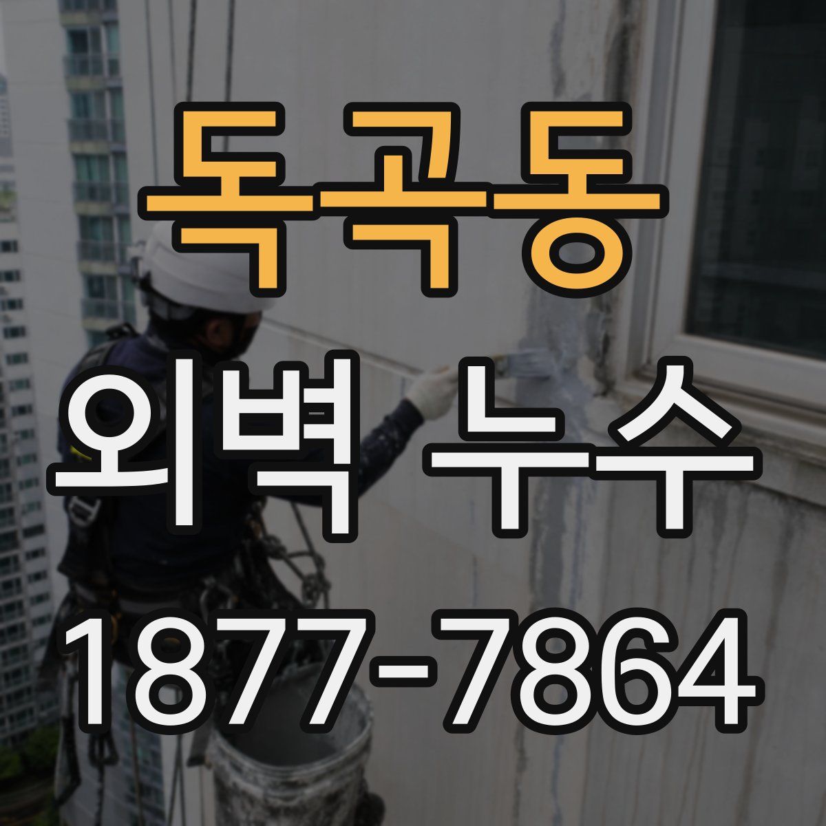 독곡동 외벽 누수