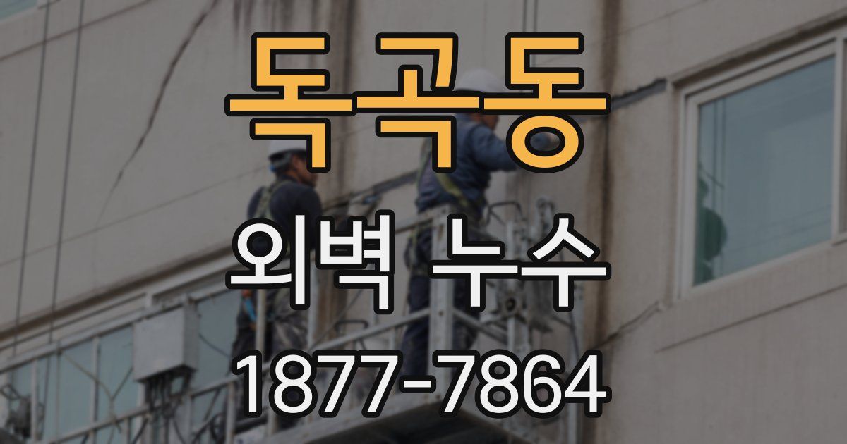 독곡동 외벽 누수