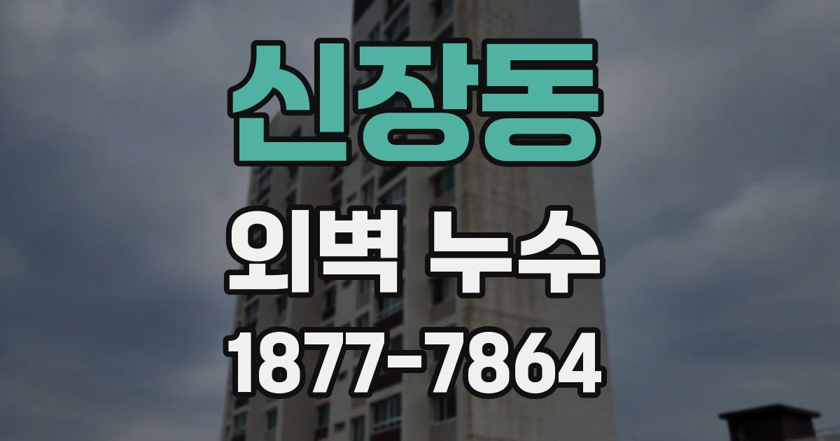 신장동 외벽 누수