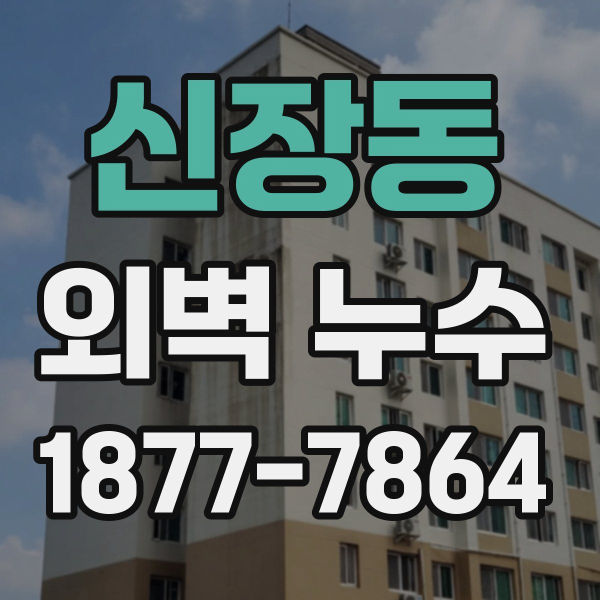 신장동 외벽 누수