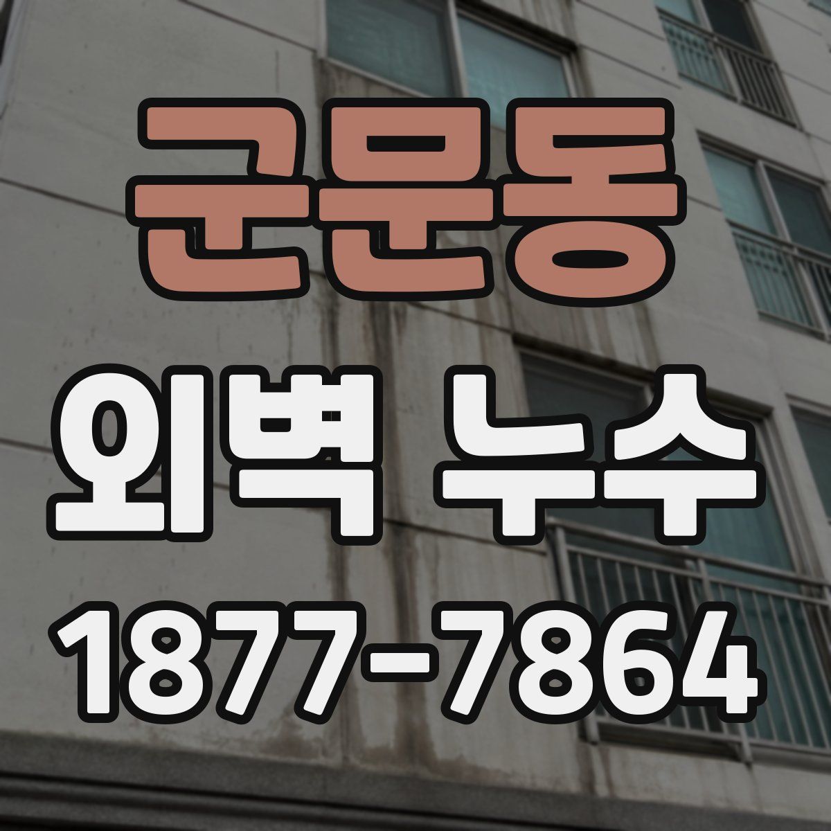 군문동 외벽 누수