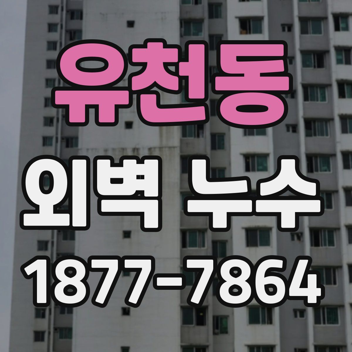 유천동 외벽 누수