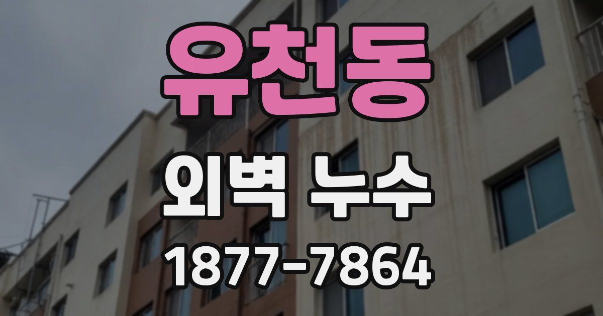 유천동 외벽 누수