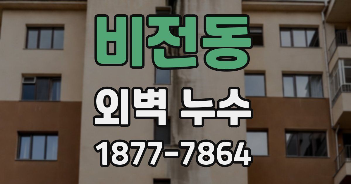 비전동 외벽 누수