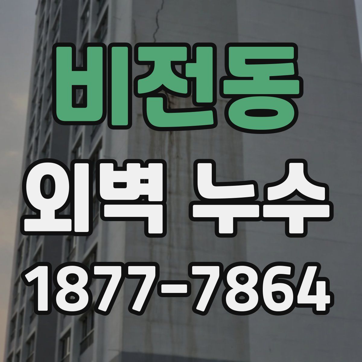 비전동 외벽 누수