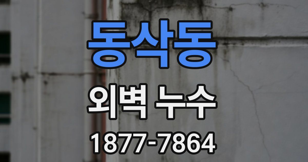 동삭동 외벽 누수